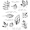 Stampers Anonymous Tim Holtz® Nature's Wonder Cling Stamps